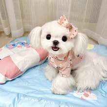 卡通狗狗项圈衬衫睡衣，透气防掉毛，适合马尔济斯犬、贵宾犬等小型犬的家居服和睡衣，亲肤印花家居服，可机洗，春夏款 - 藍色 - 查看 9