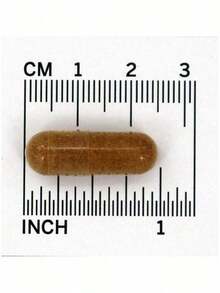 Natural AHCC Veggie Capsules, 750mg X 60 - Daily Immune Wellness - 1 - Xem 4