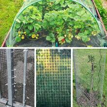 8M Welded Wire Mesh Galvanised Fence Aviary Rabbit Hutch Chicken Pet Fencing Width 90cm - Silver - View 9