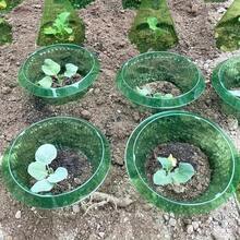 Un set de 10 capace de sticlă pentru grădină, protecții pentru plante, guler rotund de protecție pentru plante din plastic, suport pentru căpșuni, barieră de apărare împotriva melcilor și limacșilor, capac protector fără substanțe chimice pentru legume și flori - A - Vizualizare 6