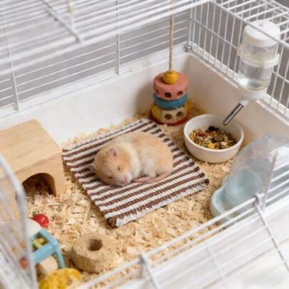 Thin Hamster Sleeping Mat, Suitable For All Seasons, Washable, Soft And Comfortable Cage Liner, Warm Pad For Small Pets Like Hamsters