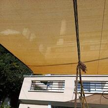 Malla de sombra para jardín con cuerdas de instalación gratuita, malla de protección solar de alta densidad con hebillas de cobre, ideal para patios, terrazas, cenadores, balcones y restaurantes europeos. Ofrece protección solar y UV, y es de calidad comercial y duradera. - Champán - Ver 7