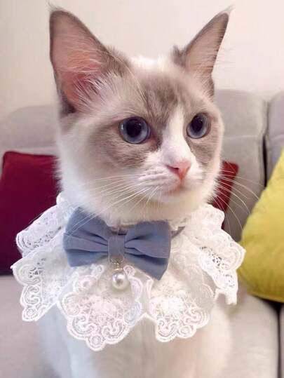 1 pieza Collar lindo para gato con corbata de moño desmontable, diseño con estampado floral, elegante, adecuado para gatos de interior, gatitos, perros pequeños y otras mascotas pequeñas, accesorio para gato