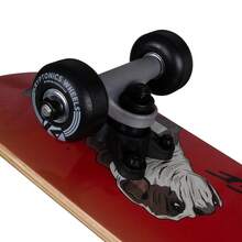 Premium Complete Mini Skateboard 22"X 5.75", Sturdy & Smooth Riding, Ideal For Beginners, Suitable For Age 6 And Up - Showdwn - View 5