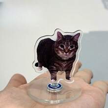 1pc Oiiaio Cat Meme 360° Rotating Stand, Funny Cat Desktop Stress Relief Toy - Multicolor - View 9