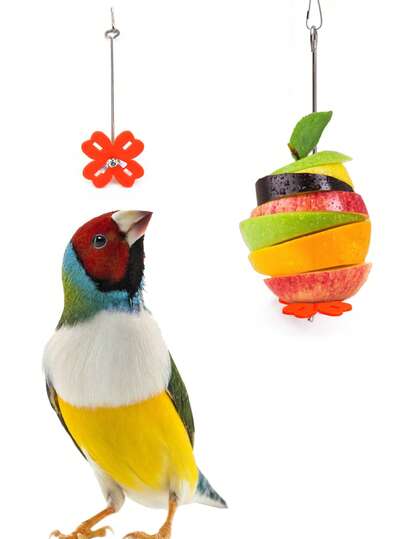 1pc Stainless Steel Parrot Fruit Fork Hanging Hook, Corn Apple Fruit Fork Toy, Bird Cage Accessory, Bird Supplies, Bird Toy