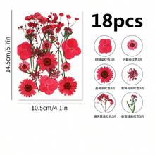 压花树脂模具，逼真的干花和叶子，适用于剪贴簿、DIY蜡烛配件、珠宝工艺等。所有各种压花干花均采用透明真空包装，以保护树脂花在运输过程中不受损坏；请注意，由于这些是人造植物，花朵的形状和颜色可能与图片略有不同。（已加工且无虫害）有时个别花材会缺货，我们会用相同尺寸或颜色的花材替代，恕不另行通知。 - DIY材料包 - 查看 28