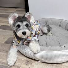 卡通狗狗项圈衬衫睡衣，透气防掉毛，适合马尔济斯犬、贵宾犬等小型犬的家居服和睡衣，亲肤印花家居服，可机洗，春夏款 - 藍色 - 查看 3