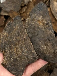 5克A级沉香（Aloeswood），高含油量，天然沉香，芳香，空气净化器，持久留香，适用于家居香氛、卧室、冥想、瑜伽等。 - 高油沉香 - 查看 4