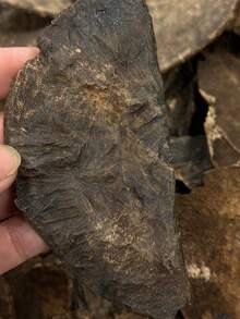 5克A级沉香（Aloeswood），高含油量，天然沉香，芳香，空气净化器，持久留香，适用于家居香氛、卧室、冥想、瑜伽等。 - 高油沉香 - 查看 6