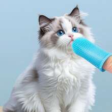 3pcs Pet Supplies Cat Dog Toothbrush Finger Brush Oral Cleaning, Pet Dental Cleaning Set - View 4
