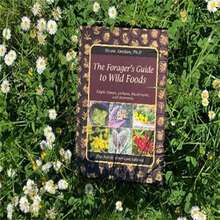 The Forager's Guide To Wild Foods - A-Red - View 9