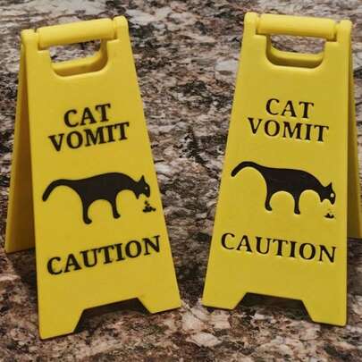 5-Inch Cat Vomit (Wet Floor) Desk Decor