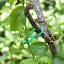 100pcs Garden Plant Support Set: Trellis Clips, Vine Grower, Jute Rope, Ties, Tomato Vine Fixers, Multi-Function Plant Climbing Rack - 100 Pcs - View 4
