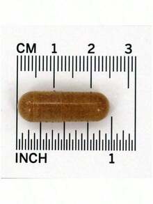 AHCC Mushroom Immune Support Capsules – Daily Health – 60 Count - 1 - 查看 2