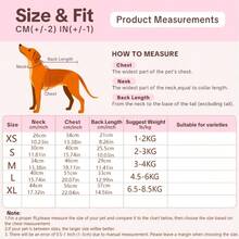 卡通狗狗项圈衬衫睡衣，透气防掉毛，适合马尔济斯犬、贵宾犬等小型犬的家居服和睡衣，亲肤印花家居服，可机洗，春夏款 - 藍色 - 查看 2