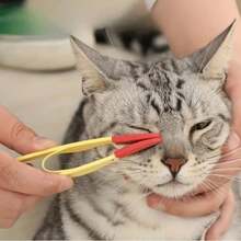Bộ dụng cụ tẩy vết nước mắt cho mèo và chó, bao gồm bàn chải mềm làm sạch mắt và bàn chải chải lông. - Xem 2