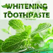 羟基磷灰石强效美白牙膏，不敏感，不刺激 - 薄荷色 - 查看 7