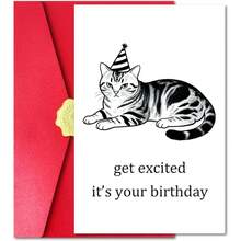 Cute Funny Cat Birthday Card For Friend Cat Lover, Get Excited, It's Your Birthday, Greeting Card With Red Envelope And Sticker - View 1