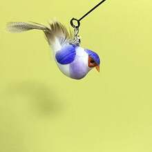 Interactive Cat Toy With Bird Feather, Nylon Cat Teaser Wand Toy, Battery-Free Indoor Cat Toy - View 8