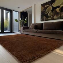 Sour Lemon Rugs Living Room 200x300cm, Coffee Brown Area Rugs For Bedroom, Washable Anti Slip Extra Large Shaggy Soft Rug Fluffy Modern Floor Carpets Mat Beside Carpet, Long Runner Rug For Hallway - Pure Coffee Color - View 10