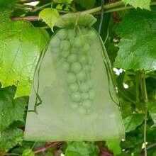 100PCS Reusable Fruit Protection Mesh Bags With Drawstring Insect Proof Pest Barrier Breathable Net Covers For Grapes Tomatoes Bananas Peaches Apples Flowers Plants Garden Orchard Protection Supplies - Green - View 5