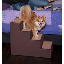 Pet Gear Pet Step IV Escaleras para Mascotas para Perros y Gatos pequeños de hasta 50 Libras Ligeras fáciles de Montar no Requiere Herramientas Disponible en 2 Modelos Moca - Moca - Ver 3