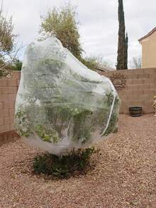 1pc Garden Netting With Pull Cord And Zipper, Anti-Insect Mesh Net For Plant, Fruit And Citrus Flower Protection - Zipper Version - View 7