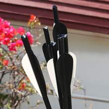 12Pcs Crossbow Bolts Carbon Arrows 20 Inch Hunting Archery Crossbow Arrows With Half Moon Nocks 125 Grain Removable Tips - Black - View 11