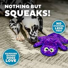 Outward Hound Durablez Medium Gecko Stuffing-Free Squeaky Pl 11ush Dog Toy For Puppies & Dogs - Interactive, Soft Yet Tough, No Mess, Jumbo Squeaker, Long-Lasting Play, 14 Inch, Purple - 紫壁虎 - 查看 5