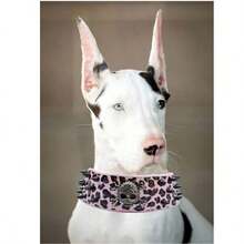 iDestry Collares de perro con picos de 2" de ancho, collares de perro de cuero para perros grandes y medianos, Pitbull, Mastiff, Rottweiler, Pitbull, Labrador, Boxer, collar de calavera para perros de tamaño medio a grande - Multicolor - Ver 7