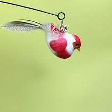 Interactive Cat Toy With Bird Feather, Nylon Cat Teaser Wand Toy, Battery-Free Indoor Cat Toy - View 7