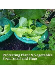 Un set de 10 capace de sticlă pentru grădină, protecții pentru plante, guler rotund de protecție pentru plante din plastic, suport pentru căpșuni, barieră de apărare împotriva melcilor și limacșilor, capac protector fără substanțe chimice pentru legume și flori - A - Vizualizare 8