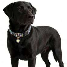 Vintage Hundehalsband mit Blumenanhänger, verstellbares, weiches und bequemes Haustier-Halsband mit geometrischem Streifenmuster, geeignet für kleine, mittlere und große Hunde - Blau - Übersicht 7
