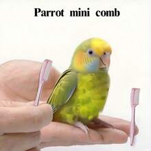 4-Piece Bird Grooming Kit, Includes Nail Clipper, Feather Brush, File, And Beak Grinder - Compact And Easy-To-Use Tools For Cockatiel, Parrot, Lovebird And Other Small Pet Birds - Daily Feather, Nail And Beak Care - Multicolor - View 8