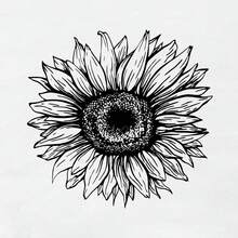 Women Cute Sunflower Graphic Tee Shirts Anti-Wrinkle Cotton T-Shirt - trắng - Xem 4