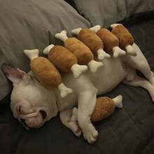 宠物骨头形状发声玩具，鸡翅毛绒互动咀嚼玩具，无需电池，狗狗牙齿护理和玩耍用品 - 彩色 - 查看 2