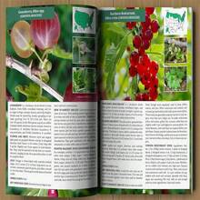 La guía del recolector de alimentos silvestres - A-Rojo - Ver 4