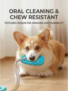 Pet Suction Cup Slippers, Chew-Resistant, Helps Consume Pet's Energy; Pet Sniffing Toys, Self-Entertainment For Dogs - Multicolor - View 3