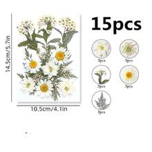 压花树脂模具，逼真的干花和叶子，适用于剪贴簿、DIY蜡烛配件、珠宝工艺等。所有各种压花干花均采用透明真空包装，以保护树脂花在运输过程中不受损坏；请注意，由于这些是人造植物，花朵的形状和颜色可能与图片略有不同。（已加工且无虫害）有时个别花材会缺货，我们会用相同尺寸或颜色的花材替代，恕不另行通知。 - DIY材料包 - 查看 20