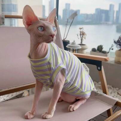 Hairless Cat Colorblock Ribbed Ribbed Tank Top, Breathable, Elastic, Skin-Friendly For Sphynx & Devon Rex Cats In Spring/Summer