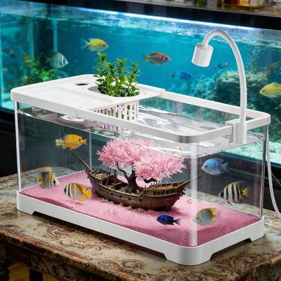 中小型水族箱景观鱼缸，客厅新款全套，含金鱼和水生植物