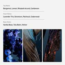 Paco Rabanne Phantom Parfum 100ml - Warm & Spicy - View 2