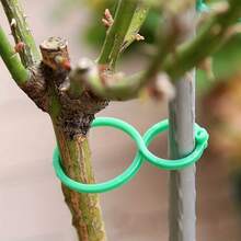 100pcs Garden Plant Support Set: Trellis Clips, Vine Grower, Jute Rope, Ties, Tomato Vine Fixers, Multi-Function Plant Climbing Rack - 100 Pcs - View 5