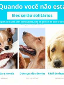 brinquedo cachorro/brinquedos gatos/brinquedo para cachorro/pet shop cachorro/Diversas cores e estilos - redondo 7cm verde - Visão 4