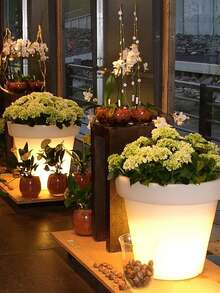 1/2 Pcs LED Solar Plant Pot Lights, IP44 Waterproof White Plastic Illuminated Planters, Dusk To Dawn Auto On/Off Decorative Flower Pot Lamps, Indoor Outdoor Landscape Lighting For Garden, Patio, Courtyard, Balcony, Pathway And Home Desktop Decor - Flower Pot Lamp - View 8