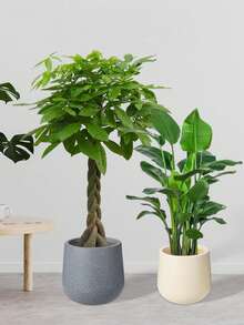 高脚杯形大号塑料花盆 – 现代简约树脂花盆，适用于客厅，是种植发财树和蝴蝶兰的理想之选，轻巧高端装饰 - 酒杯形 - 查看 3