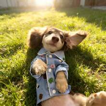 卡通狗狗项圈衬衫睡衣，透气防掉毛，适合马尔济斯犬、贵宾犬等小型犬的家居服和睡衣，亲肤印花家居服，可机洗，春夏款 - 藍色 - 查看 11