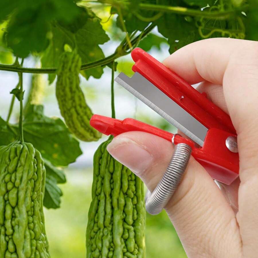 Fruit & Vegetable Picking Knife, Grape Stem Remover, Thumb Knife For Beans, Cucumbers And Fruit Picking