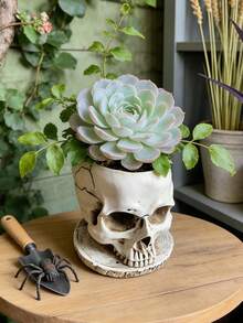 哥特式树脂骷髅花盆 - 白色，适合种植多肉植物、香草、小型室内植物，室内/室外均可使用（厨房、露台、浴室），易于清洁，引人注目的家居园艺装饰品，适合植物爱好者和哥特爱好者。 - A - 查看 9